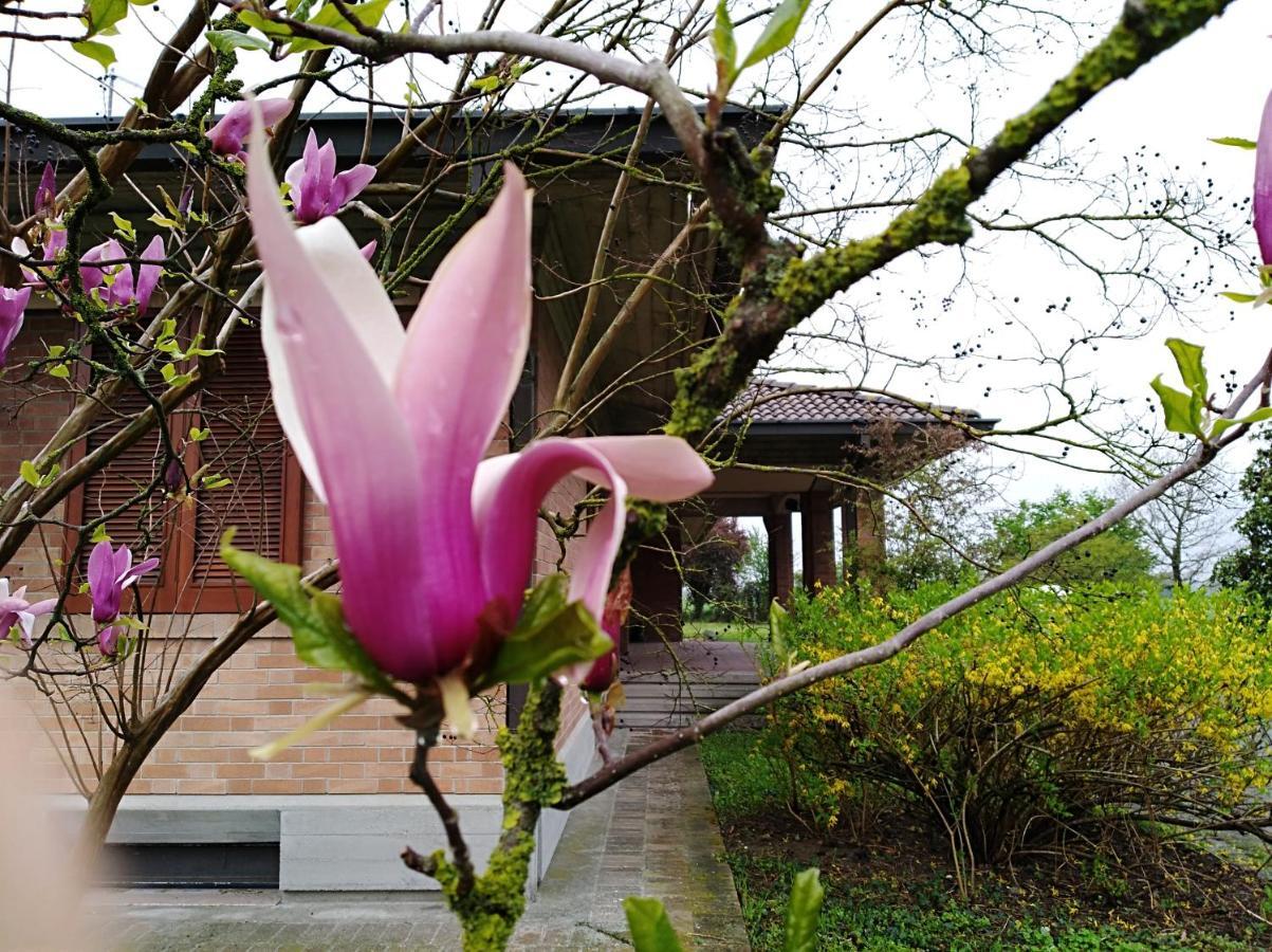 Agriturismo I Quercioli Parma Exterior foto